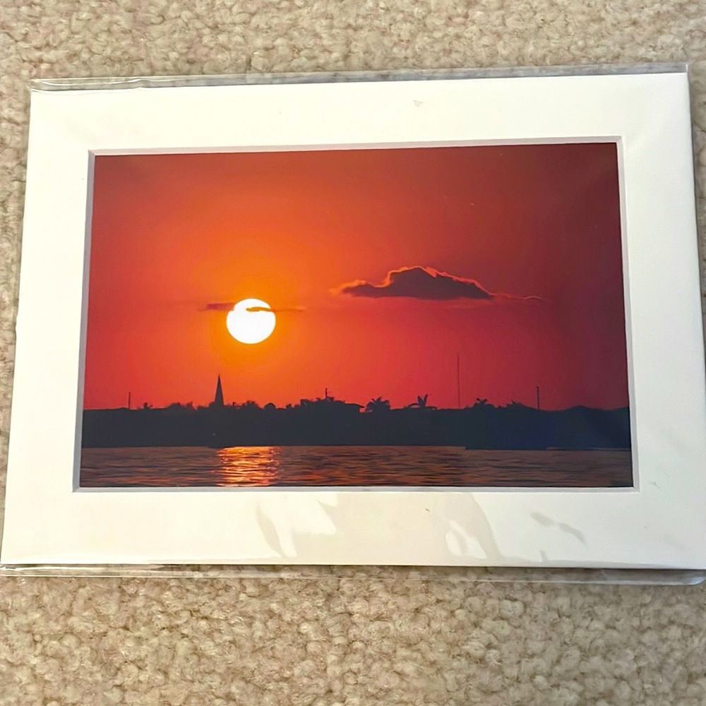 Island Themed Print- never opened